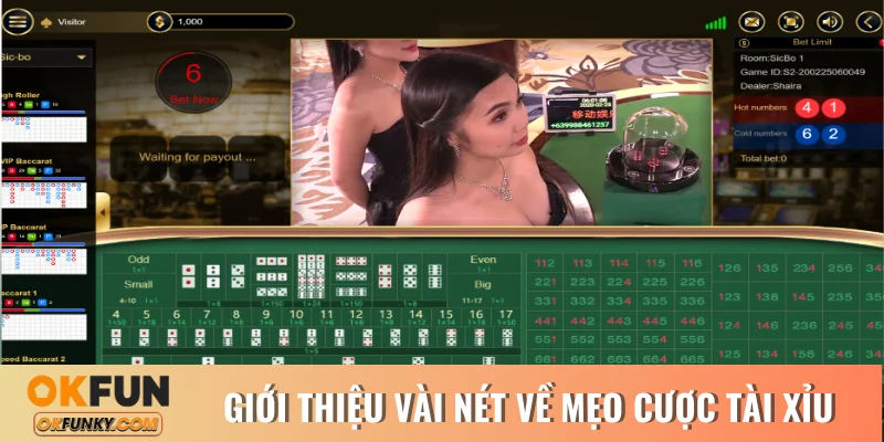 Giới thiệu vài nét về mẹo cược Tài Xỉu