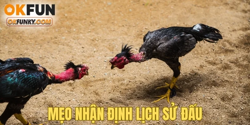 Mẹo nhận định lịch sử đấu